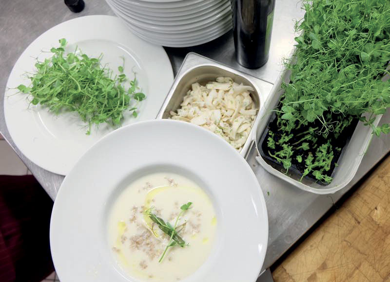 Trattoria Al Refolo Hostaria creativa