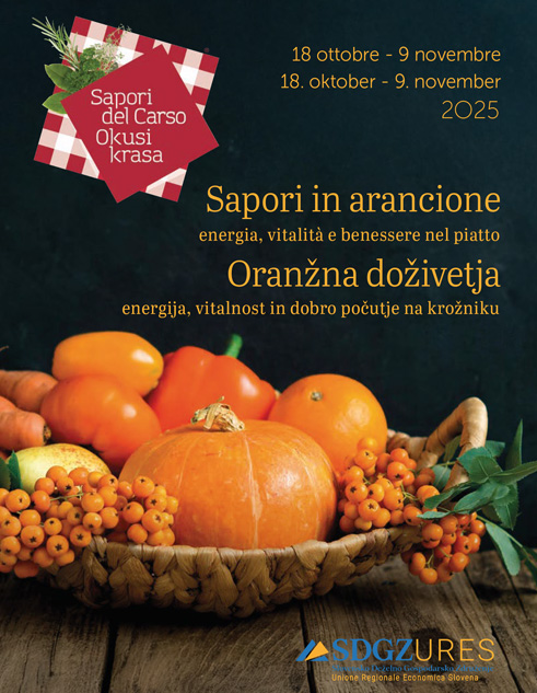 Scarica PDF